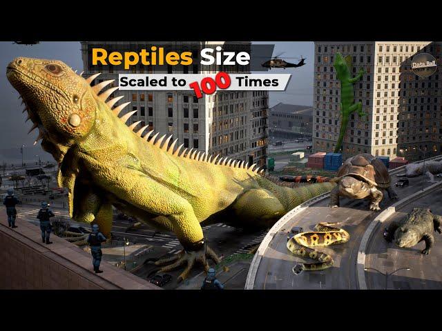 If Reptiles' Size Increased to 100 Times| Imaginary Size Comparison