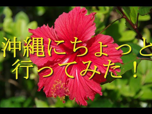 沖縄でそばは旨かった！！宮古そば＆やまびこ食堂 　１年前