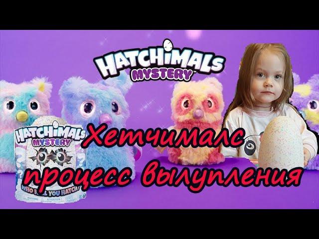 Интерактивная игрушка | Hatchimals | Хетчималс яйцо | процесс вылупления!