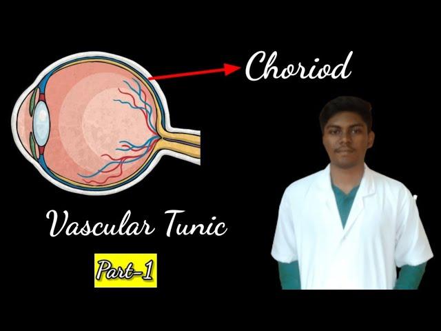 What is Choriod? ||Vascular Tunic||General Aesthesiology||1st yr Anatomy @twinklepaws001 #anatomy