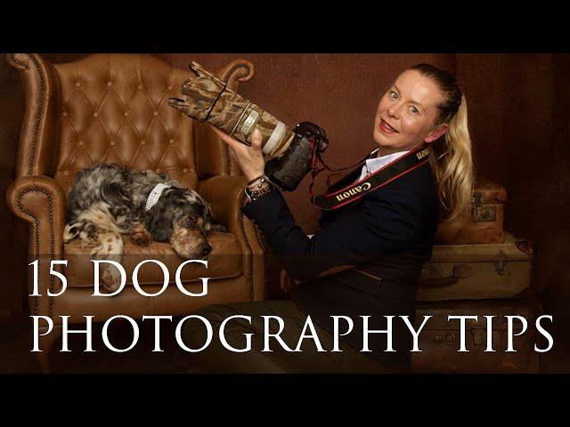 15 Tips for dog photography