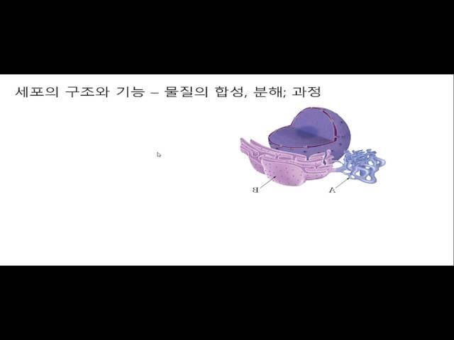 세포의 구조와 기능