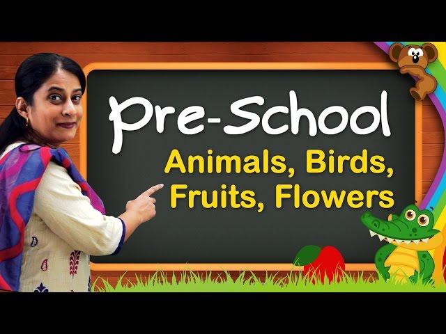 Pre School Learning For Kids | Animals, Birds, Animal Sounds, Fruits, Flowers, Vegetables