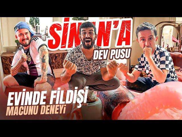 SİNANA DEV PUSU | EVİNİ FİLDİŞİ MACUNU İLE KAPLADIK