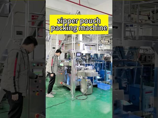 Landpack zipper pouch packing machine | premade pouch packing machine