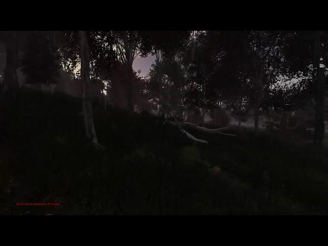 DayZ Solo on Chenarus - (Immersive No Commentary No HUD First Person)