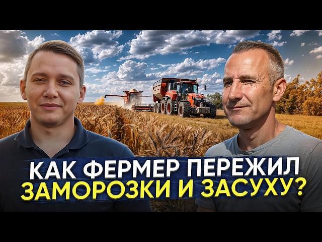 Как фермер пережил заморозки и засуху в 2024 году!? И как прошла уборочная компания?