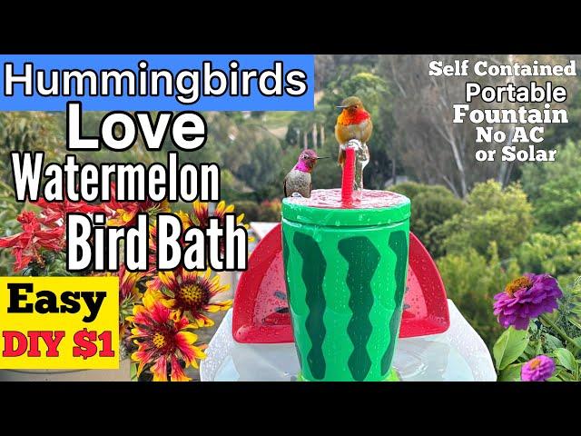 How To Make Hummingbird ENDLESS Water Fountain LOVED Cup Bird Bath *NO AC or Solar Powered PORTABLE