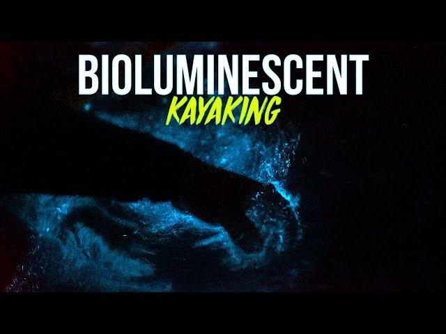 Bioluminescent Kayaking in Florida in Clear Kayaks - Merritt Island | Get Up And Go Kayaking