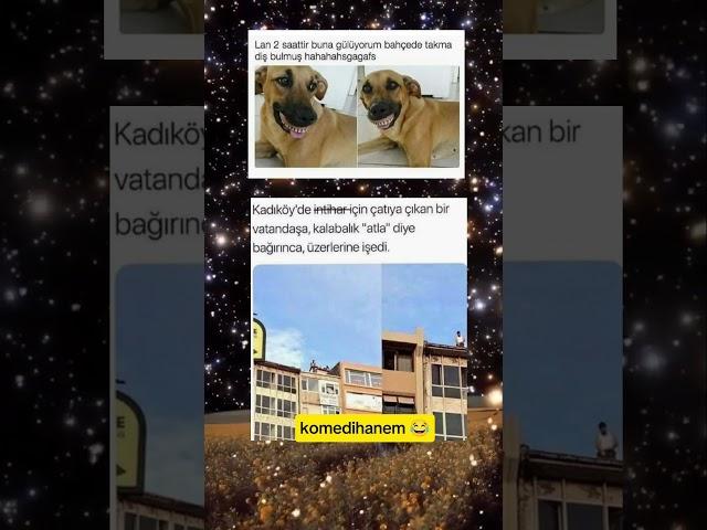 #001 #komedi #comedy #funny #mizah