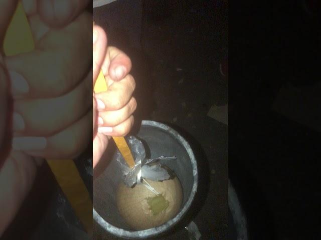 6” shell