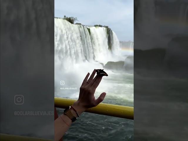 Cataratas Brasileras #viajerosporelmundo #viajebarato #viajeeconomico #viajeros #brasil