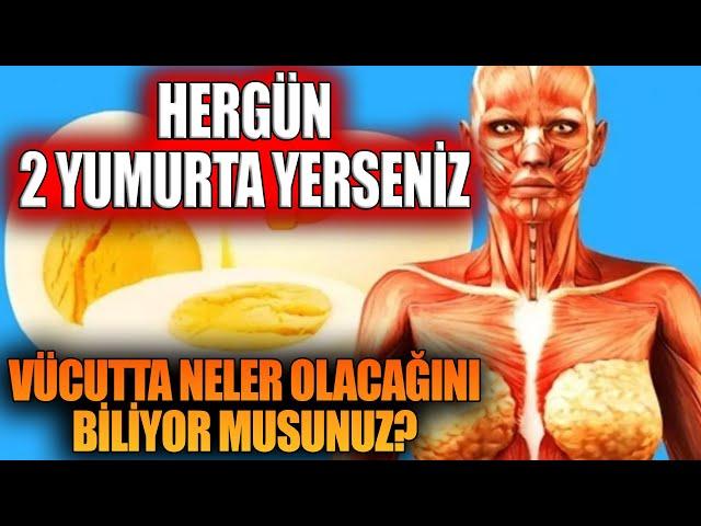 Hergün 2 Yumurta Yerseniz Vücutta Neler Olacağını Biliyor musunuz?