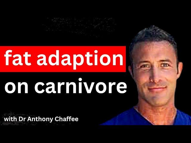 How Long Does It Take To Get Fat Adapted On A Carnivore Diet?