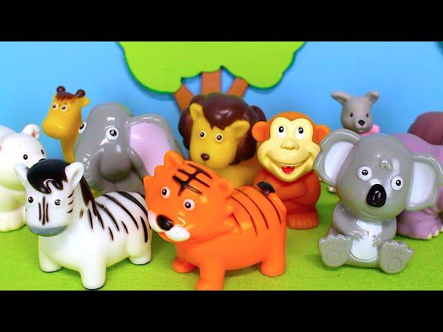 Zoo Animal Toys in a Washing Tub for Kids