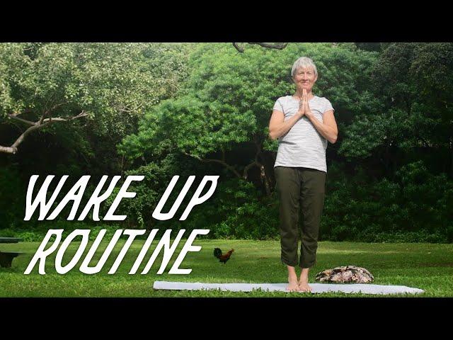 11 Minute Morning Yoga Wake Up Routine w/ Tania | Yoga with Aloha