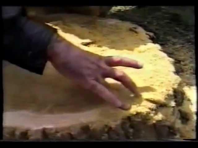 How It's Made: Iranian Tar, A Short Documentary by Hossein Alizadeh