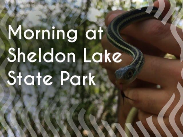 Morning at Sheldon Lake State Park