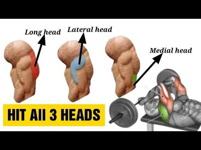 9 Best Triceps Workout for Every Head (Hit all 3 heads) | Fitkill