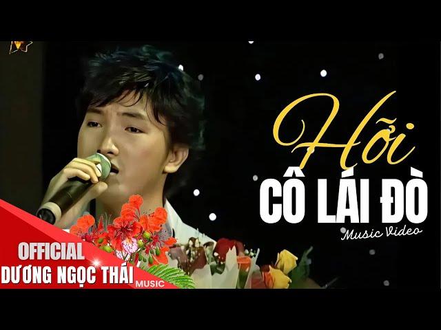 HỠI CÔ LÁI ĐÒ - Dương Ngọc Thái || MV HD BẢN ĐẦU TIÊN HAY NHẤT