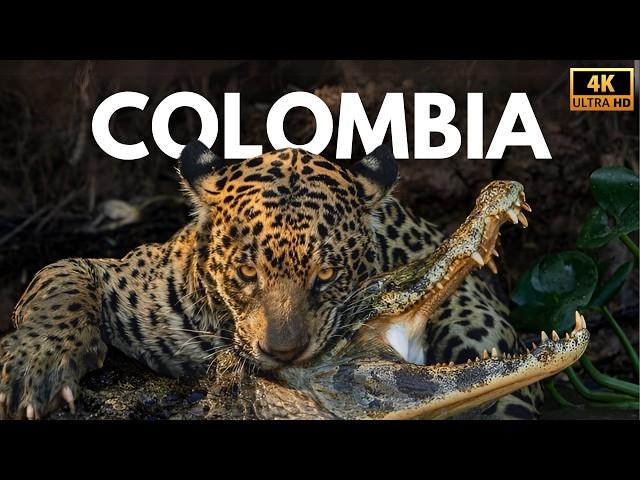 COLOMBIA SALVAJE - Los Guardianes del Equilibrio Natural | Documental Completo