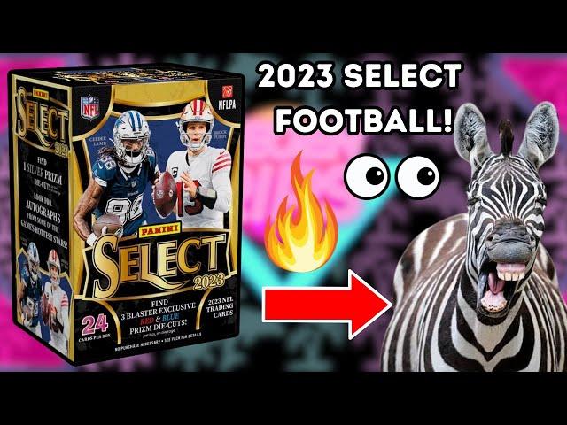 ZEBRA HIT! 2023 SELECT FOOTBALL BLASTER BOX REVIEW!