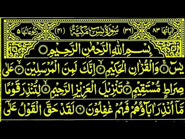 Surah Yaseen Sweet Voice Best Tilawat || Yasin || Ar Rahman || Surah Mulk Beautiful Recitation