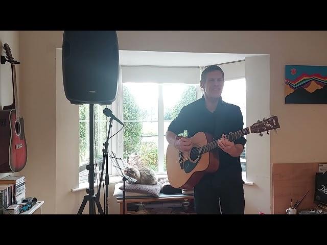 BALTIMORE BLUES No. 1 - Deer Tick cover by Padraig McGrath