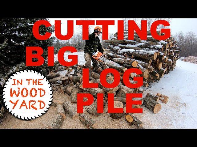 #284 - Firewood cutting Maple log pile! An awesome wood to cut!