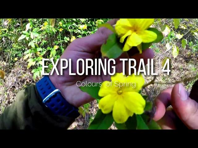 Gopro| Exploring the colors of spring |trail 4 islamabad