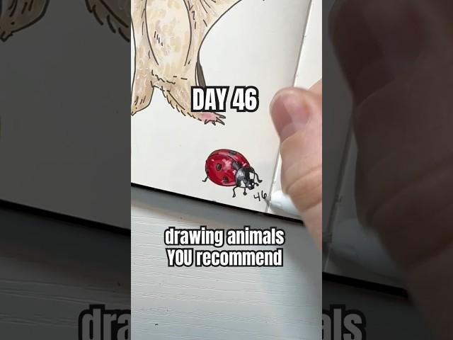 Drawing Animals YOU Recommend  Day 46