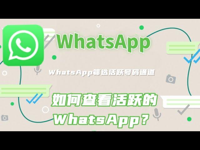 如何查看活跃的WhatsApp？WhatsApp筛选活跃号码通道#WhatsApp采集活跃号#whatsapp号码筛选器