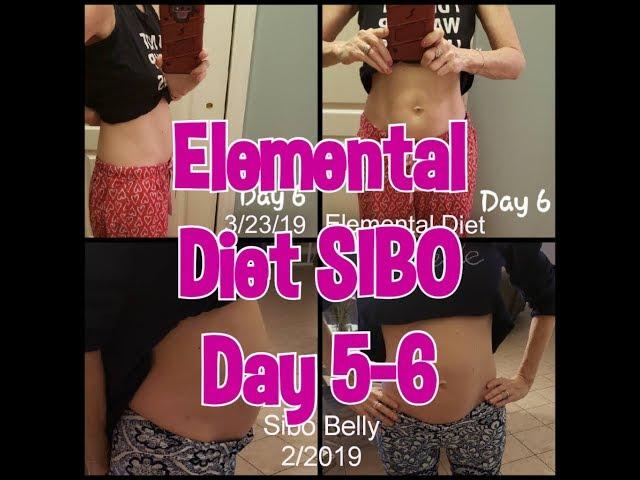 Elemental Diet SIBO Diary Day 5-6 | Lisa Monoson