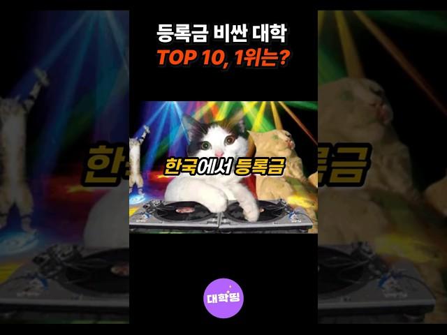 등록금이 제일 비싼 대학은 어디? TOP 10 #대학순위 #대학등록금