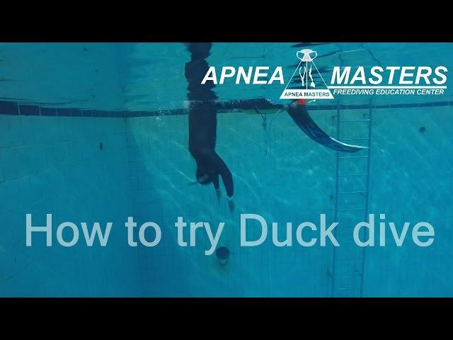 How to try Duck dive 덕다이빙 하는법 프리다이빙 덕다이브