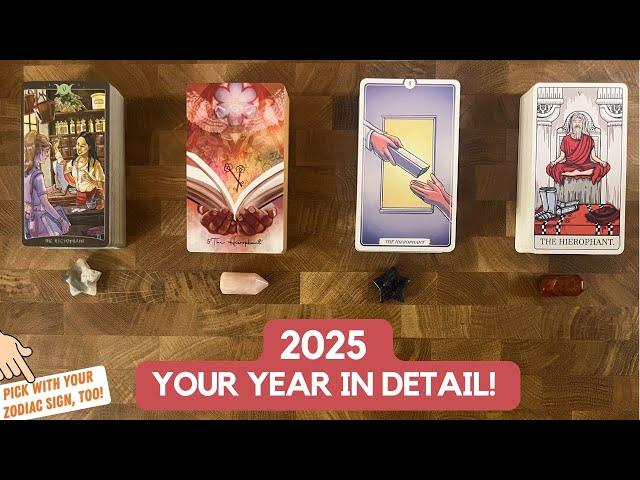 2025 Your Year in Detail!  