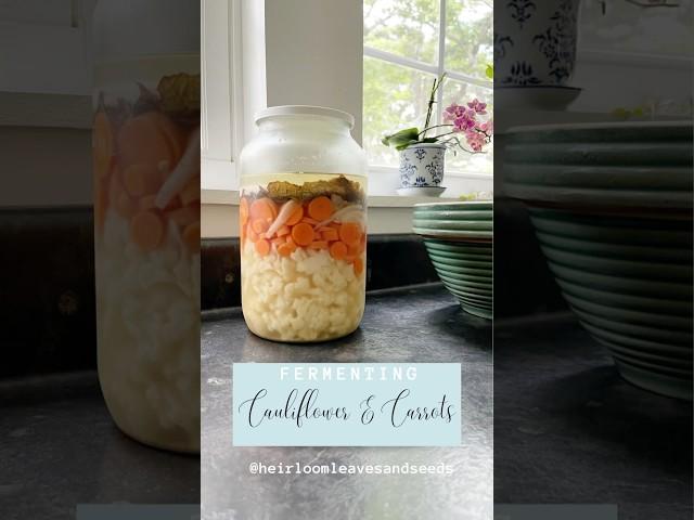 Fermenting Cauliflower and Carrots - Heirloom Leaves and Seeds #fermentedfood #fermentation #asmr