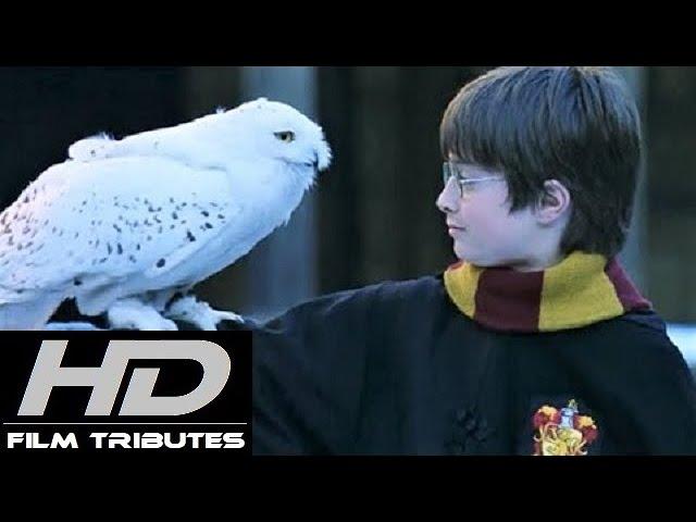 Harry Potter • Main Theme • John Williams