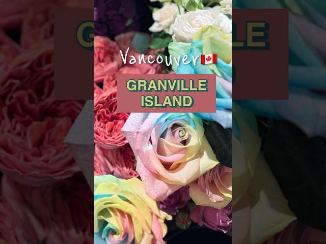 벤쿠버 가볼만한곳 그랜빌아일랜드 / vancouver travel / 캐나다여행지 추천 granville island