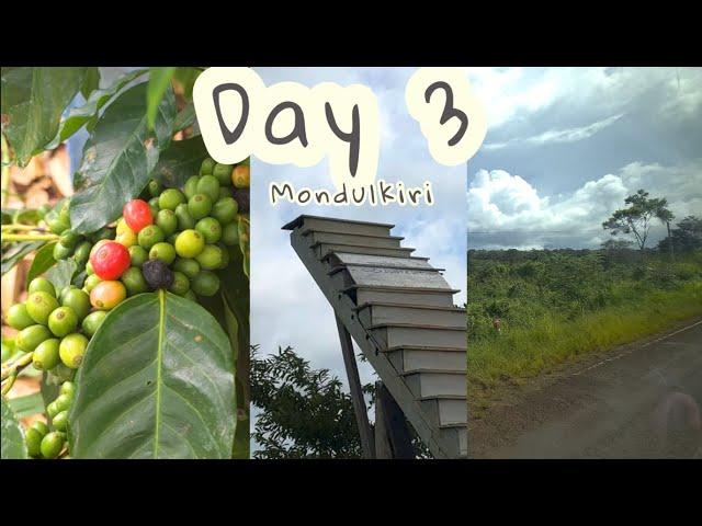  Day 3 in Cambodia | Mondulkiri  #travel #2024 #tiktok #vlog #blogger #asia #hiking