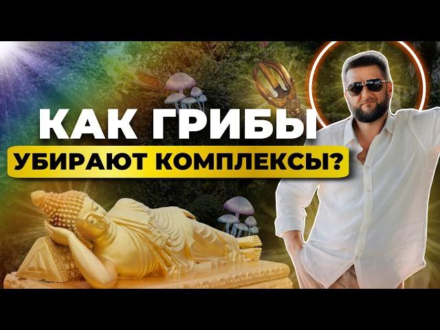 Как грибы освобождают от мыслей и комплексов? Реальный опыт. Павел Дмитриев