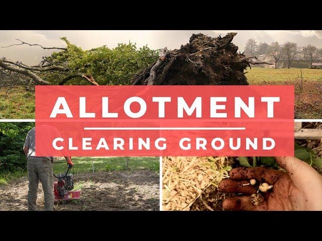 How to clear an Allotment - Allotments for beginners - vegetable gardening