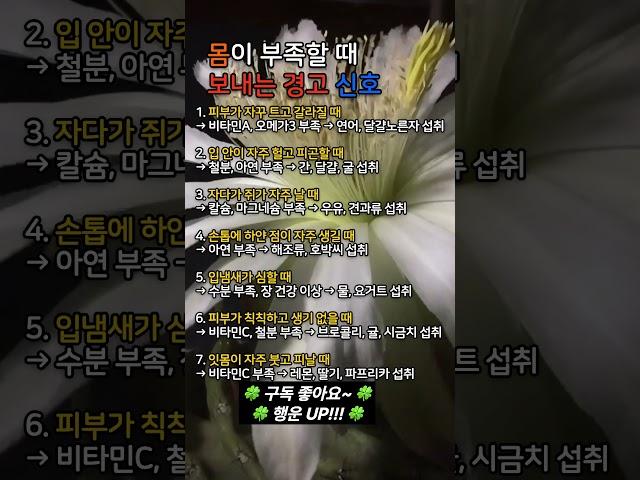 몸이 보내는 신호, 그냥 넘기지 마세요 – 부족한 영양소 7가지