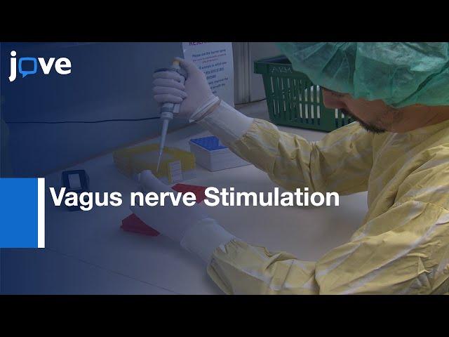 Vagus nerve Stimulation mechnisms  in Limited Inflammatory Responses | Protocol Preview