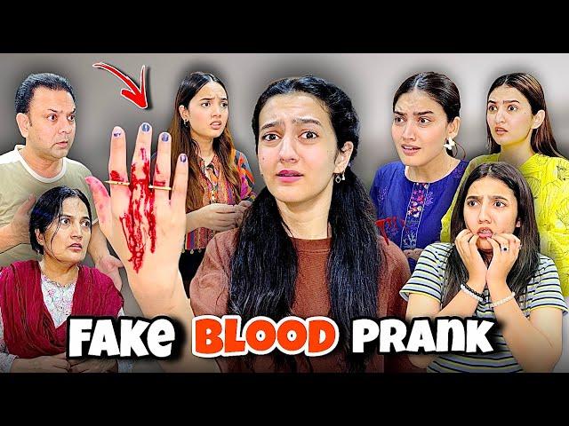 Fake Blood Prank With My Family | Scariest Vlog | Rabia Faisal | Sistrology