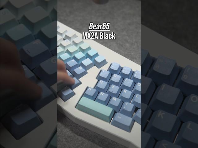 ASMR | MX2A Black