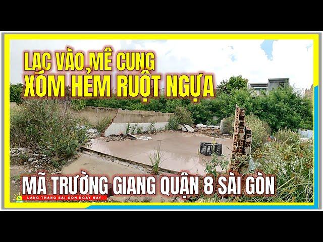 Lạc vào MÊ CUNG XÓM HẺM RUỘT NGỰA | MÃ TRƯỜNG GIANG QUẬN 8 | Cuộc Sống Sài Gòn Ngày Nay