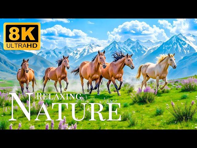 Relaxing Nature 8K ULTRA HDRelaxing Movie With Soothing Music