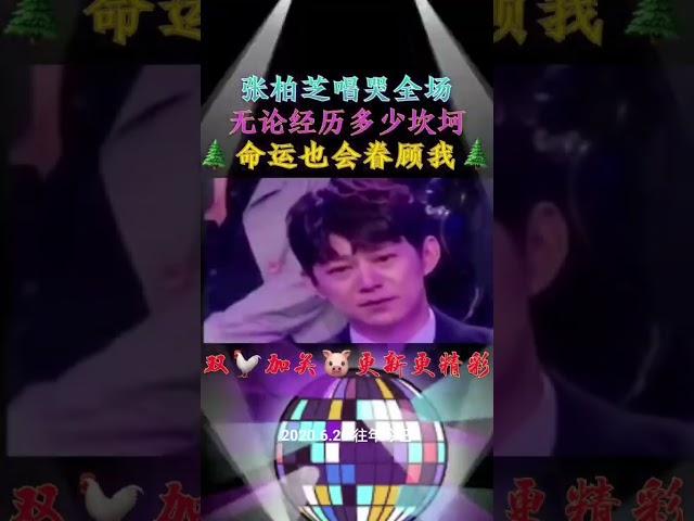 未来属于大家 #张柏芝 #一個人一首歌