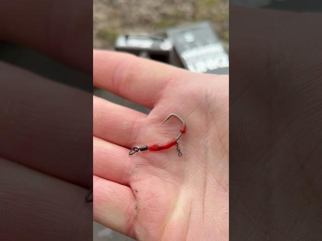  One of the BEST Ronnie Rig/Spinner Rig Hooks you’ll EVER use! #carpfishing #carprigs #fishing